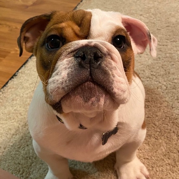 Meet your Posher, Crystal - Picture 1 of 1